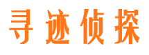 莱山市调查公司